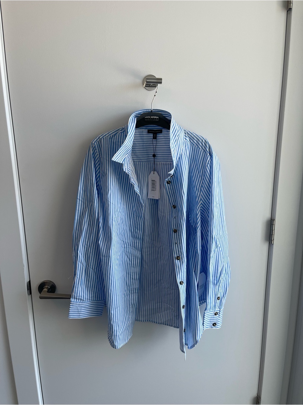 Universal Standard Blue Striped button down